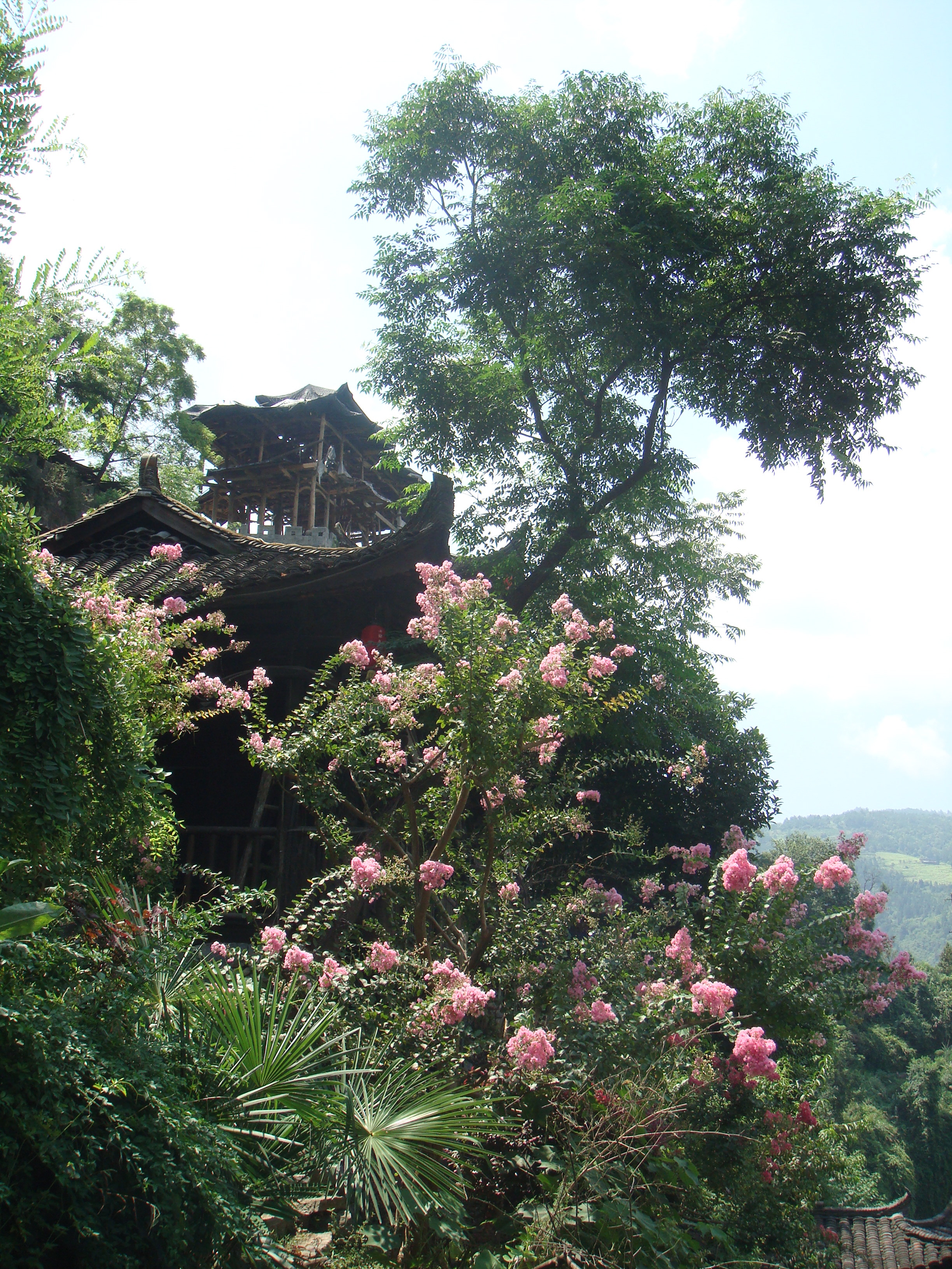 芙蓉镇的楼与园艺