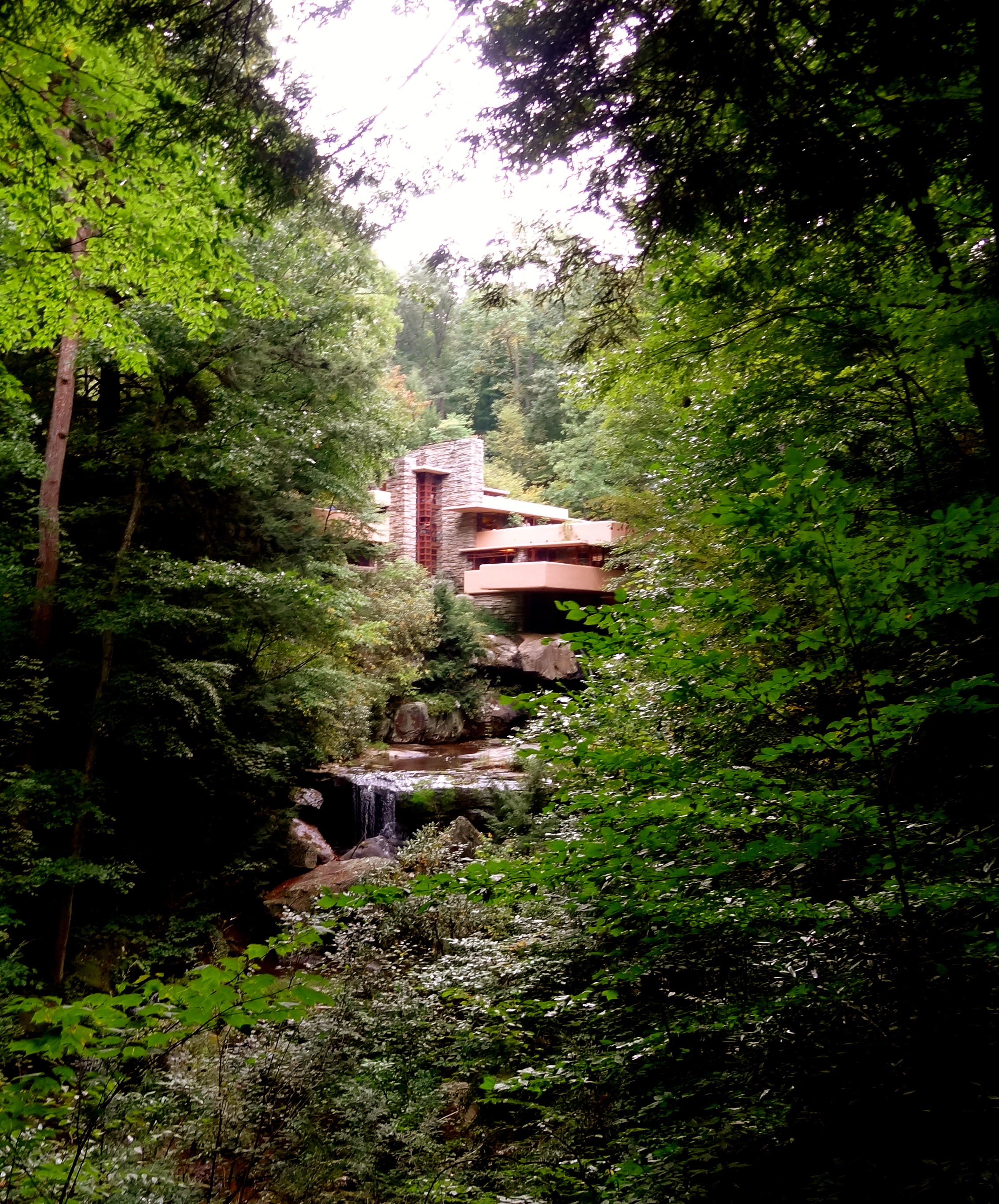 Fallingwater & Falling Water by Pan Liu